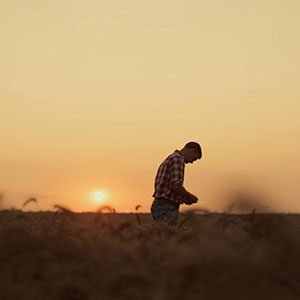 Protectores vegetales/biológicos