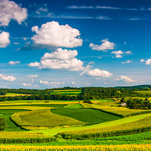 Correctores de carencia