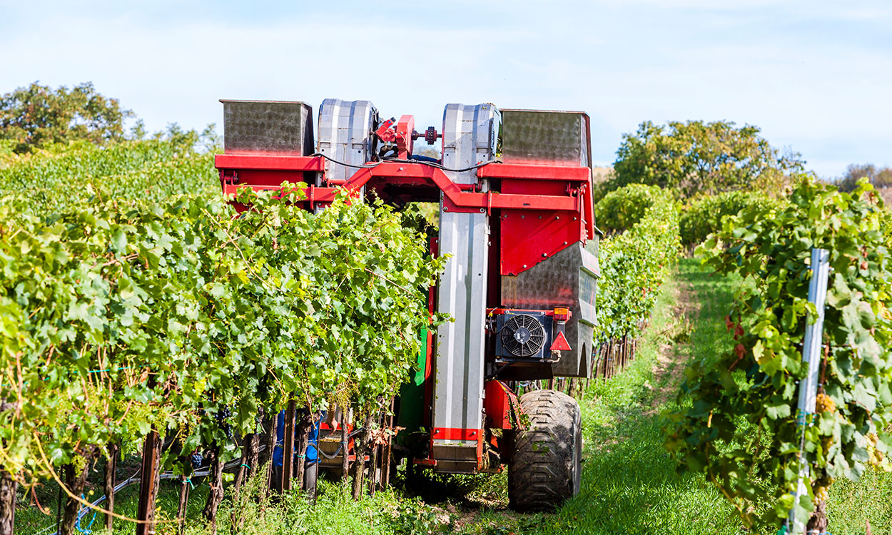 Recolector del campo