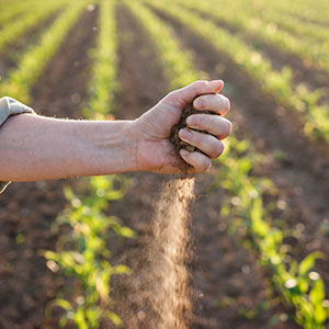 Superbioestimulantes