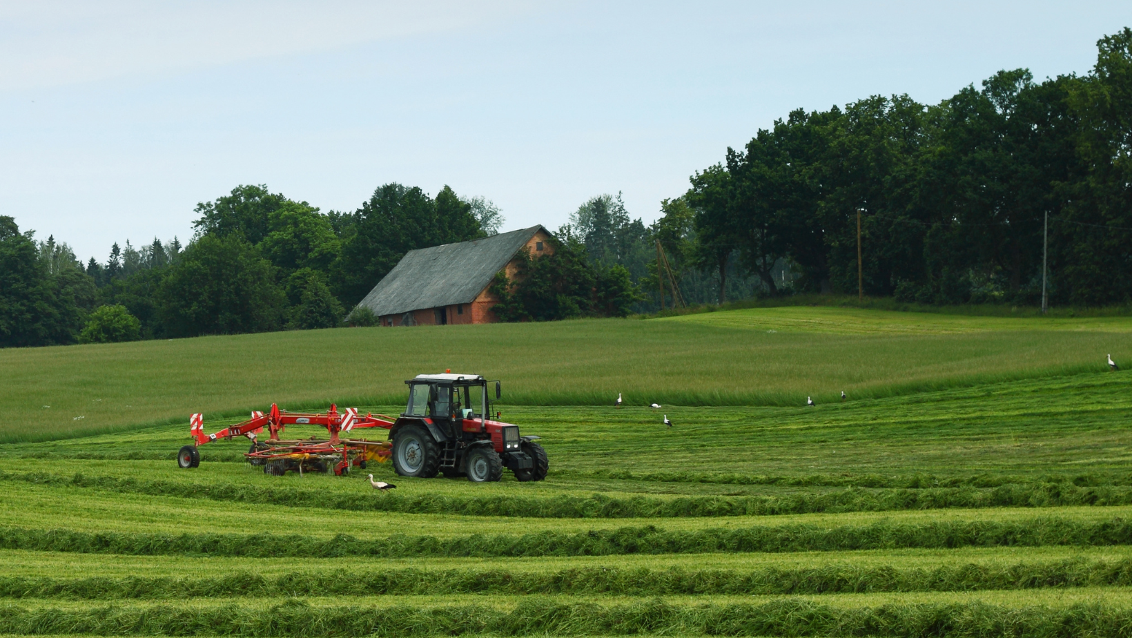 Aplicación de soluciones innovadoras a diferentes cultivos en nuestros servicios agrícolas