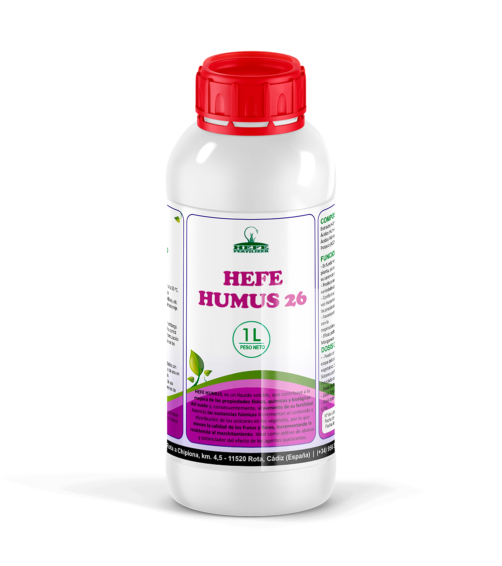 Hefe-Humus-26