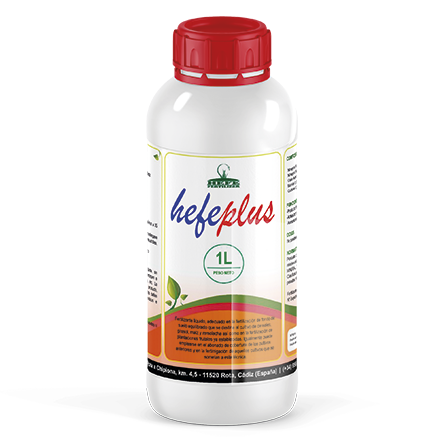 Hefeplus