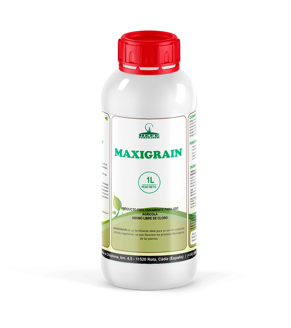 Maxigrain-1