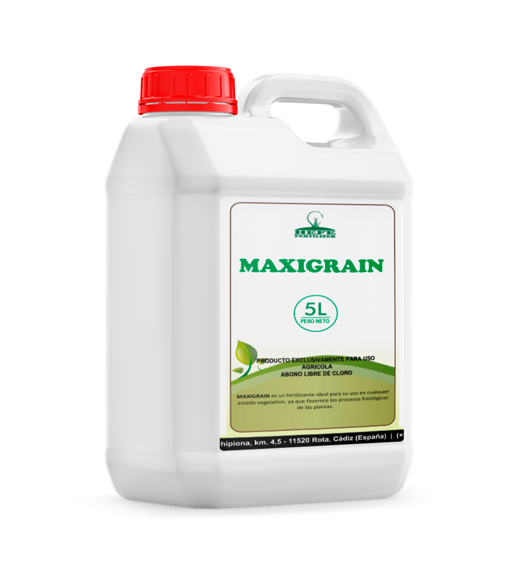 Maxigrain2