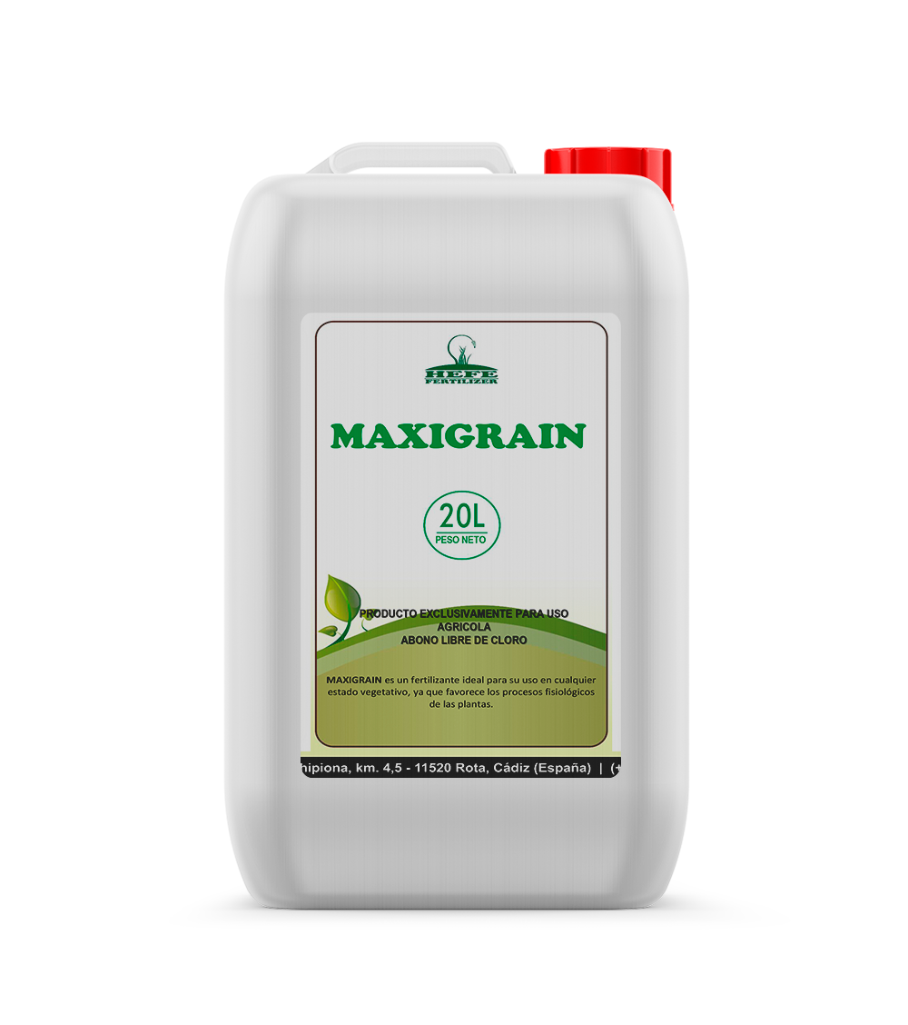 Maxigrain3
