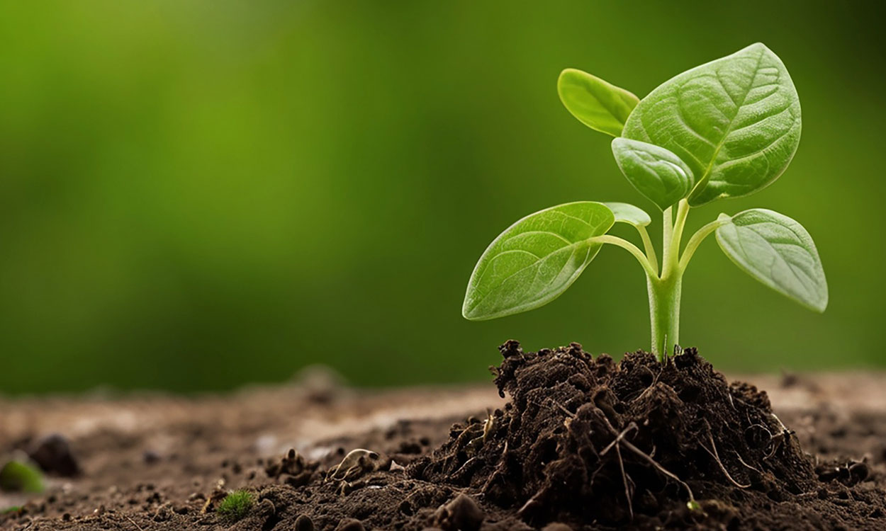 Imagen-adj Protectores del campo