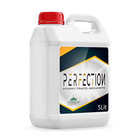 Perfection-20L