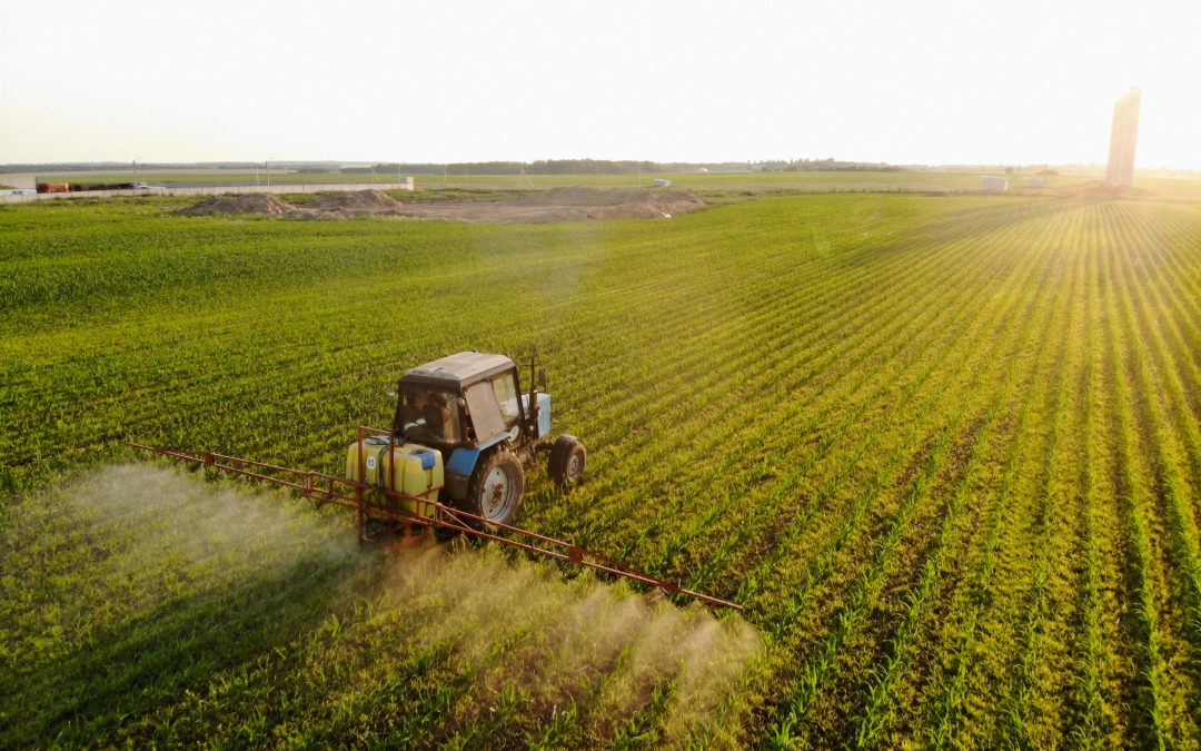 The importance of the use of fertilizers