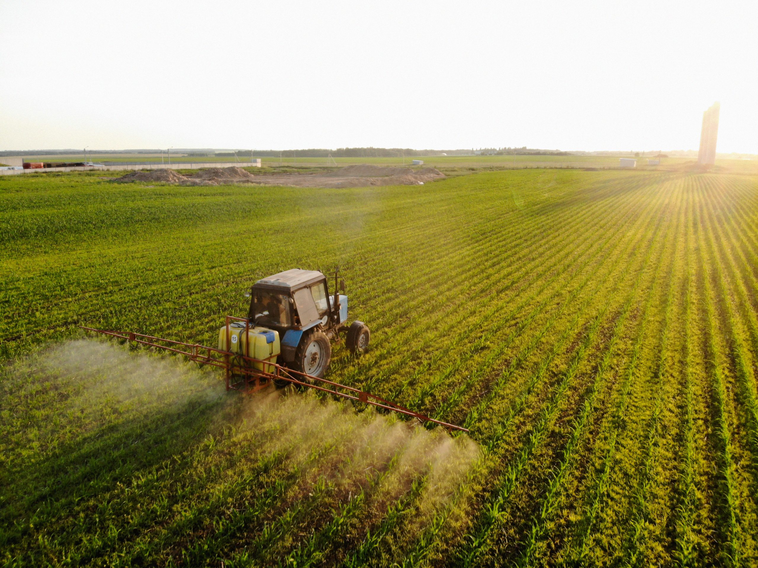 Tractor sprays pesticides on corn fields at sunset Tractor fertilizando el campo