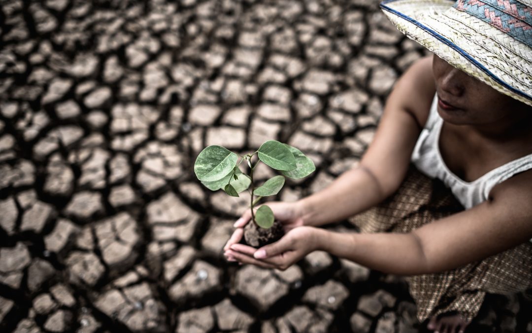 Hefe Fertilizer: Cambio Climático, Agricultura y Compromiso