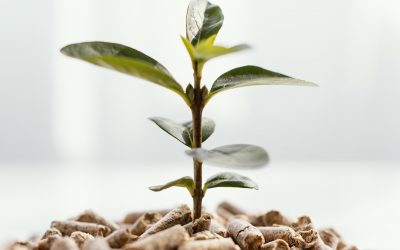 The Evolution of Fertilizers in Sustainable Agriculture